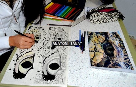 Özel Yetenek Sınavlarına Hazırlık Kursları