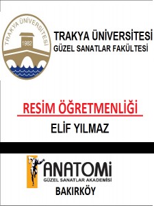 Yetenek Sınavları Başarıları