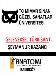 Yetenek Sınavları Başarıları