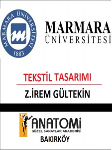 Yetenek Sınavları Başarıları