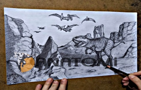 Çizgi film animasyon çalışmalrı.