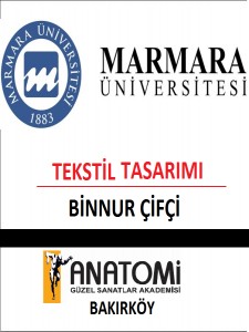 Yetenek Sınavları Başarıları